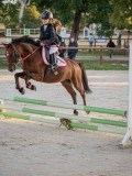 DSC05919 DSC05919