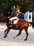 DSC05925 DSC05925