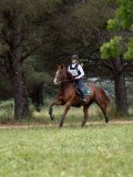 IMG_2676 IMG_2676