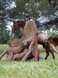 IMG_2678 IMG_2678