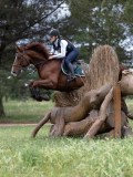 IMG_2679 IMG_2679