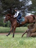 IMG_2680 IMG_2680