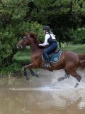 IMG_2685 IMG_2685