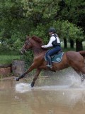 IMG_2686 IMG_2686