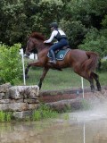 IMG_2690 IMG_2690