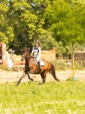 DSC01260 DSC01260
