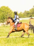 DSC01274 DSC01274