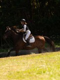 DSC01942 DSC01942