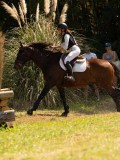 DSC01943 DSC01943