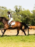 DSC01945 DSC01945
