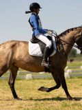 DSC00769 DSC00769