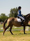 DSC00777 DSC00777