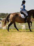 DSC00778 DSC00778