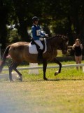 DSC00784 DSC00784