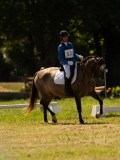 DSC00785 DSC00785