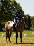 DSC00788 DSC00788