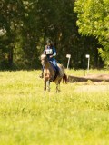 DSC01206 DSC01206