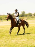 DSC00336 DSC00336