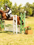 DSC00339 DSC00339