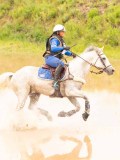DSC07731 DSC07731