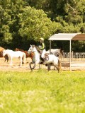 DSC01249 DSC01249