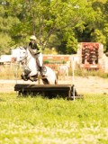 DSC01250 DSC01250