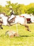 DSC01255 DSC01255