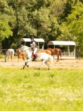 DSC01235 DSC01235