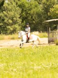 DSC01236 DSC01236