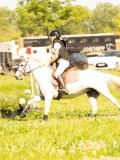 DSC01240 DSC01240