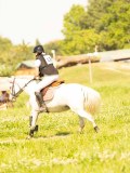 DSC01243 DSC01243