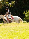DSC01915 DSC01915