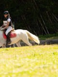 DSC01917 DSC01917