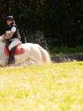 DSC01918 DSC01918