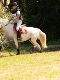 DSC01919 DSC01919