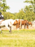 DSC01924 DSC01924