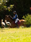 DSC01950 DSC01950