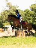 DSC01954 DSC01954
