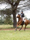 IMG_2894 IMG_2894
