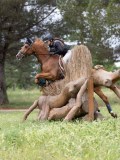 IMG_2896 IMG_2896