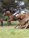 IMG_2897 IMG_2897