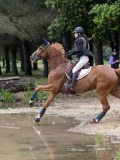 IMG_2898 IMG_2898