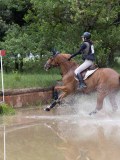 IMG_2903 IMG_2903