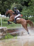 IMG_2906 IMG_2906