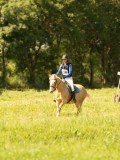 DSC01276 DSC01276