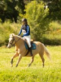 DSC01278 DSC01278