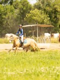 DSC01280 DSC01280