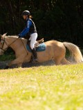 DSC01963 DSC01963
