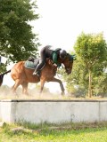 DSC08002