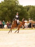 DSC05347 DSC05347